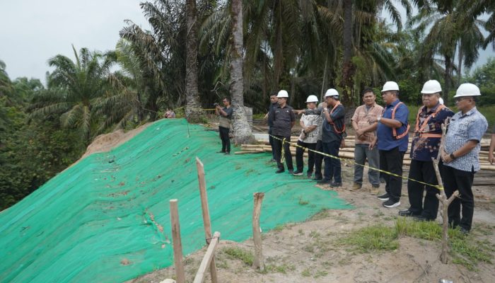 Bupati Asahan Tinjau Jalan Longsor dan Perbaikan Infrastruktur di BP Mandoge