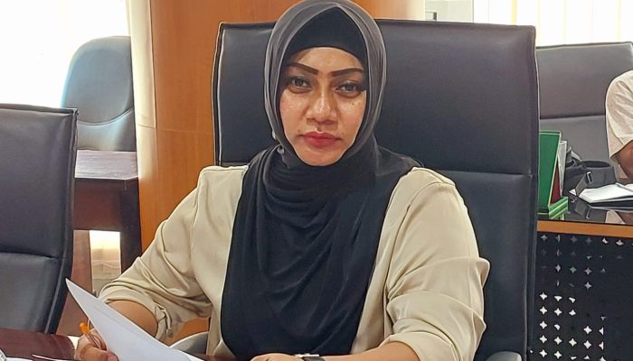 Pansus DPRD Medan Bahas Ranperda Kebakaran, Ternyata dari 77 Hydrant Cuma 4 yang Hidup