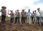 Polres Sergai Tanam Jagung di Lahan 2 Hektar, Siap Bantu Wujudkan Swasembada Pangan