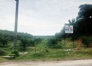 ‎PT.PD.Paja Pinang Klarifikasi Klaim 106 Warga soal Kepemilikan Lahan Seluas 2.318 Hektare  ‎