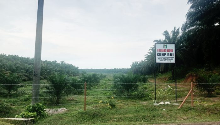 ‎PT.PD.Paja Pinang Klarifikasi Klaim 106 Warga soal Kepemilikan Lahan Seluas 2.318 Hektare  ‎