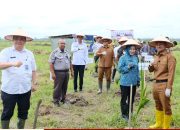 Dukung Asta Cita Presiden, Pemko Tanjungbalai Bersama Kakanwil Imigrasi Provsu dan Stakeholder Tanam Perdana Bibit Kelapa dan Jagung di Kelurahan Sei Raja