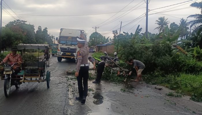 Satlantas Polres Sergai Gerak Cepat Bersihkan Pohon Tumbang, Warga Beri Apresiasi