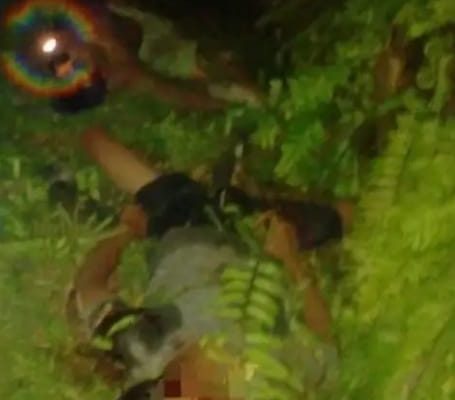 ‎Tewas di Tengah Tugas: Potret Risiko Pekerja Sawit yang Sering Terabaikan