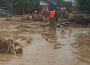 Koramil 01/BT Bantu Evakuasi Warga Terdampak Banjir di Batangtoru, Tapanuli Selatan