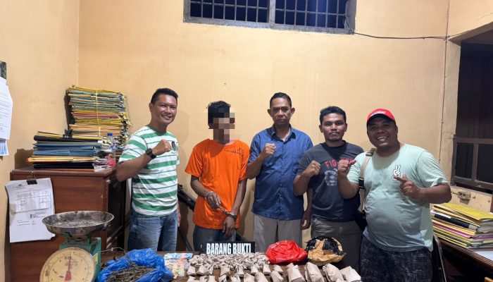 Polsek Bilah Hilir Tangkap Pengedar Ganja, Barang Bukti 1,2 Kg