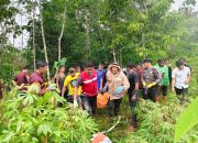221 Kejadian Bencana di Sumut, 212 Korban; Polda Maksimalkan Penanganan Darurat