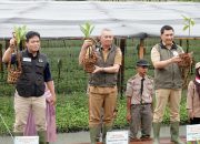 Mangrove di Sumut Sudah 8.307 Hektare, Hari Menanam Pohon Indonesia Dirayakan dengan Tanah Basah & Semangat Hijau
