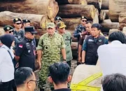 Puluhan Alat Berat dan Kayu Ribuan Batang Disita, IM Tak Bisa Lagi Mengelak