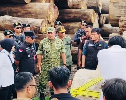 Puluhan Alat Berat dan Kayu Ribuan Batang Disita, IM Tak Bisa Lagi Mengelak