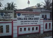 Kadus Dusun 8 Sei Sanggul Labuhanbatu Diberhentikan Sementara