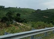 Kekhawatiran Meningkat, KHDPK Dinilai Berpotensi Perburuk Kondisi Hutan Blitar