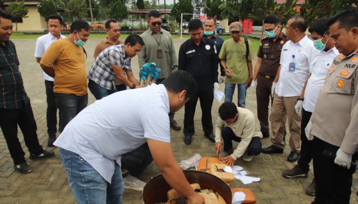 Polres Sergai Musnahkan Barang Bukti 23,5 Kg Ganja