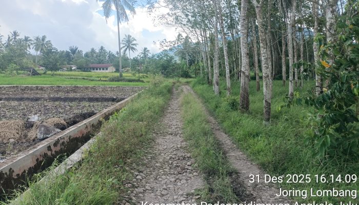 Warga Desa Joring Lombang Harapkan Peningkatan Jalan Produksi Tani
