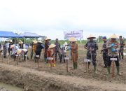 Dukung Swasembada Pangan, Kapolres Tanjungbalai Tanam Jagung Bersama Forkopimda