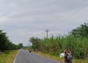 PPJ Tetap Dipungut, Ruas Jalan di Teluk Mengkudu Gelap