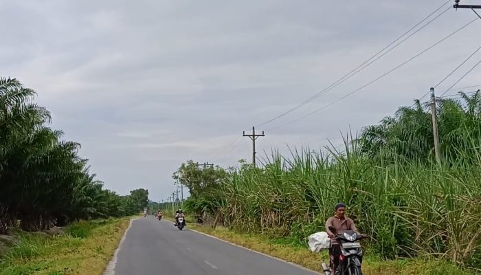PPJ Tetap Dipungut, Ruas Jalan di Teluk Mengkudu Gelap