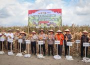 Polres Serdang Bedagai Panen Jagung Serentak Kuartal I 2026