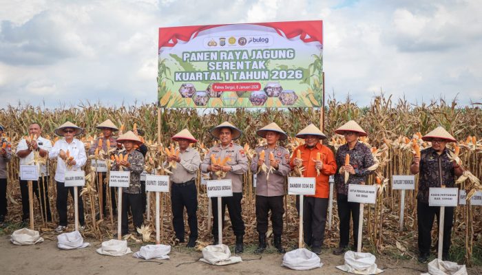Polres Serdang Bedagai Panen Jagung Serentak Kuartal I 2026
