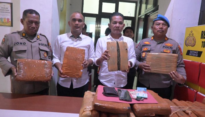 Polres Labusel Ungkap 27,8 Kilogram Ganja, Satu Buruh Asal Padang Ditangkap