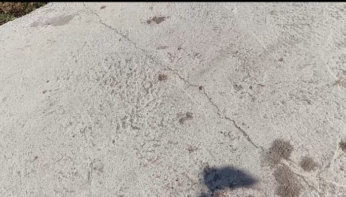 Jalan Rabat Beton di Serdang Bedagai Retak Dua Bulan Setelah Dibangun