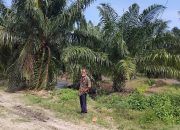 Sengketa Lahan Eks HGU PT DMK di Sergai Ditargetkan Tuntas 2026