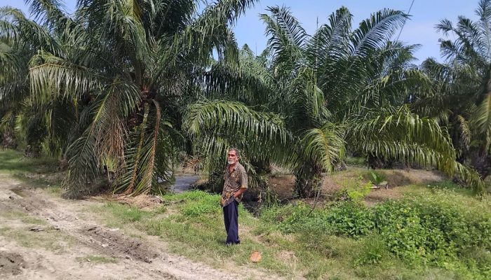 Sengketa Lahan Eks HGU PT DMK di Sergai Ditargetkan Tuntas 2026