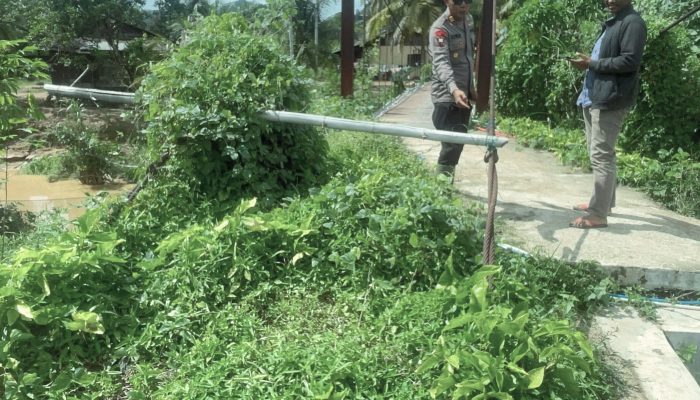 Brimob Sumut Cek Jembatan Gantung Rusak di Tukka