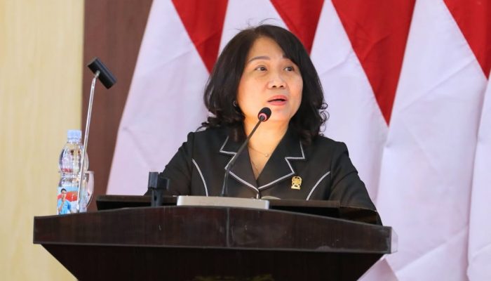 Dr Lily Dorong Wali Kota Medan Segera Terbitkan Perwal KTR