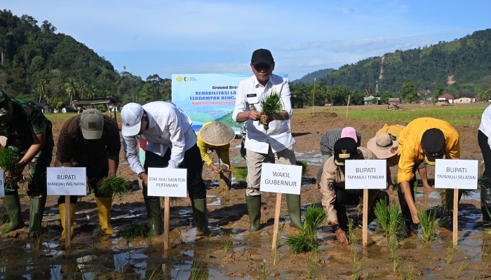 Rehabilitasi Sawah Sumut Ditargetkan 37 Ribu Hektare