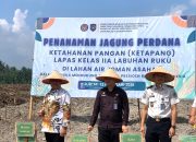 Dukung Program Ketapang, Lapas Labuhan Ruku Laksanakan Penanaman Jagung Perdana Di Asahan