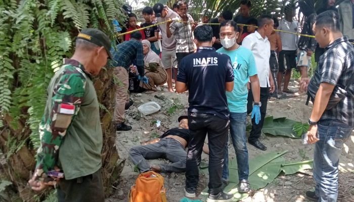 Pria Tua Ditemukan Tewas di Kebun Sawit Adolina, Sergai