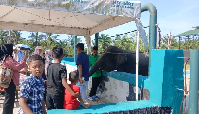R -Zoo Diserbu Wisatawan Saat Libur Lebaran 1447 H, Jadi Destinasi Favorit Keluarga di Serdang Bedagai