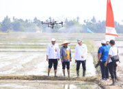 Sergai Percepat Modernisasi Pertanian, Targetkan Produktivitas Padi 10 Ton per Hektare