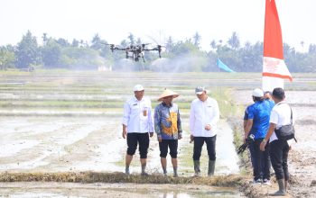 Sergai Percepat Modernisasi Pertanian, Targetkan Produktivitas Padi 10 Ton per Hektare