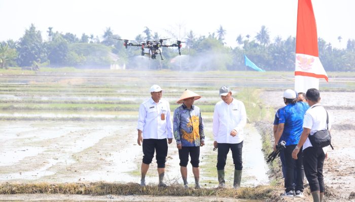 Sergai Percepat Modernisasi Pertanian, Targetkan Produktivitas Padi 10 Ton per Hektare