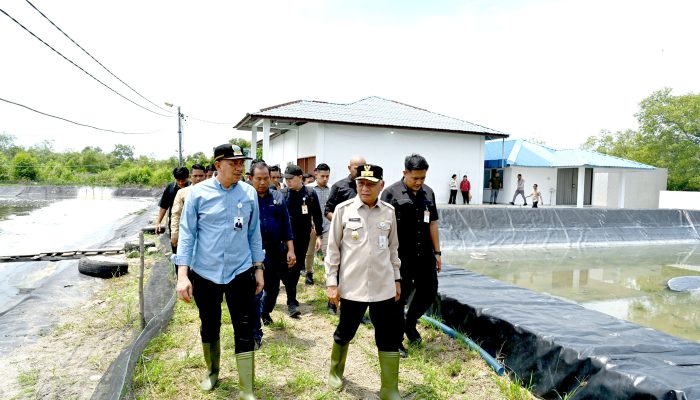 Tinjau UPTD BIAPAL Sialang Buah, Wagub Sumut Dorong Peningkatan PAD Sektor Perikanan