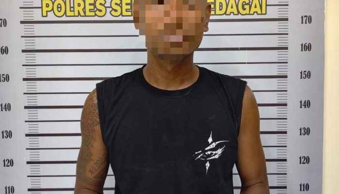 Polisi Tangkap Pengedar Sabu di Perbaungan, Sita Sembilan Paket Narkotika
