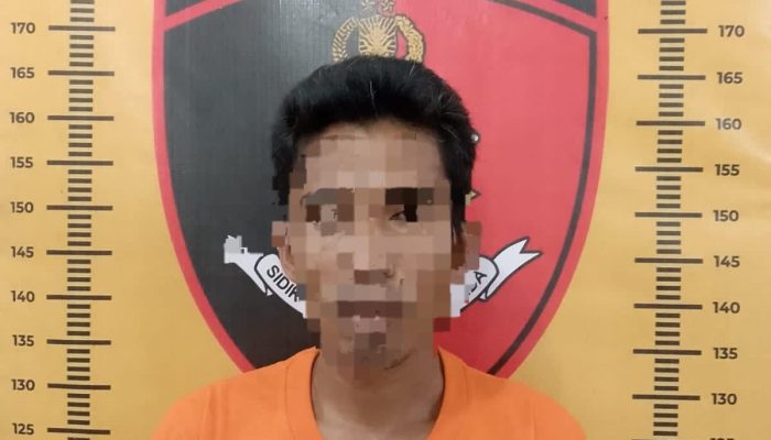 Dua Pelaku Curat Dibekuk Polisi, Barang Elektronik Rumah Warga Sei Bamban Diembat