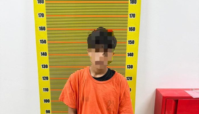 Ditresnarkoba Polda Sumut Bongkar Barak Narkoba di Tanjung Morawa