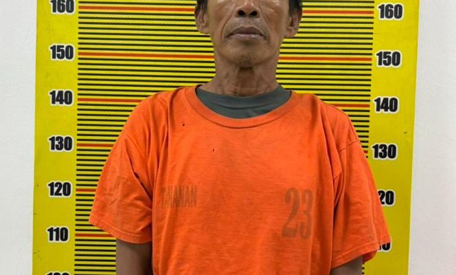 Pengedar Ganja di Medan Area Ditangkap Saat Transaksi, Polisi Sita 24 Bungkus Siap Edar