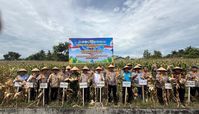 Polres Sergai Panen Raya Jagung, Perkuat Sinergi Ketahanan Pangan Nasional
