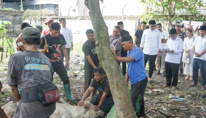 Kurban dan Kebahagiaan yang Dibagikan