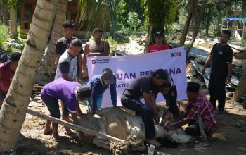 Wujud Kepedulian Pasca-Banjir, KAI Divre I Sumut Salurkan Hewan Kurban ke Aceh Tamiang