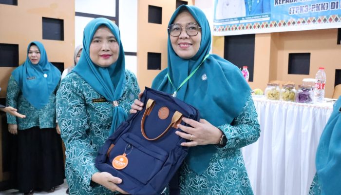 Kader TP PKK Asahan Ikut Pelatihan 10 Program Pokok PKK