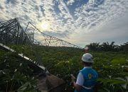 Cuaca Ekstrem Robohkan 12 Tower Transmisi di Sumut, PLN Gerak Cepat Pulihkan Kelistrikan