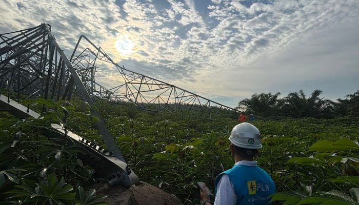 Cuaca Ekstrem Robohkan 12 Tower Transmisi di Sumut, PLN Gerak Cepat Pulihkan Kelistrikan