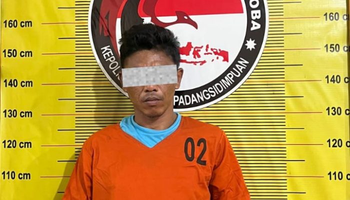 Puluhan Paket Sabu dan Ganja Digagalkan Polisi, Pengedar Berusia 44 Tahun Diciduk di Padangsidimpuan