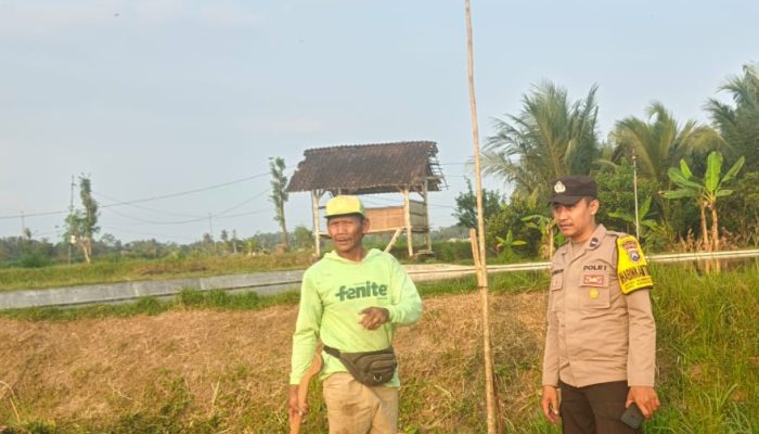 Perkuat Ketahanan Pangan, Bhabinkamtibmas Tuliskriyo Blitar Sambangi Lahan Pertanian Warga