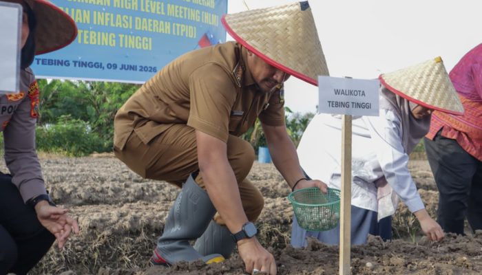 Wali Kota Tebing Tinggi Pimpin Gerakan Tanam Bawang Merah